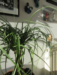 decoration-diy-home-staging-sophie-ferjani-la-selection-marseille