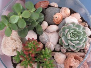 decoration-diy-home-staging-sophie-ferjani-la-selection-marseille