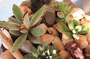 decoration-diy-home-staging-sophie-ferjani-la-selection-marseille