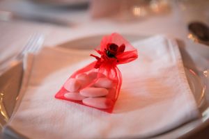 mariage-guinguette-pays-basque-blog-mariage-dragées