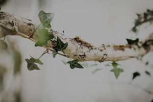 mariage-guinguette-pays-basque-blog-mariage-decoration-florale