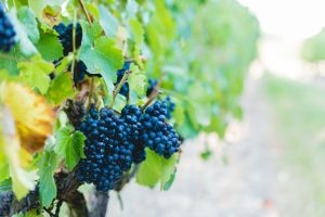 tendances-decoration-mariage-2019-midi-pyrenees-toulouse