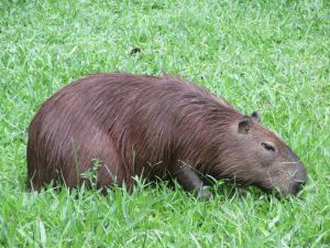 blog-mariage-voyage-de-noces-vacances-lifestyle