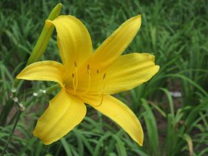 blog-mariage-voyage-de-noces-vacances-lifestyle