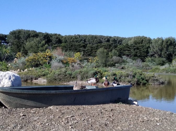 blog-mariage-sud-escapade-week-end-nature-var-cote-dazur