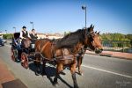 blog-mariage-toulouse-sud-ouest-transport-ecolo