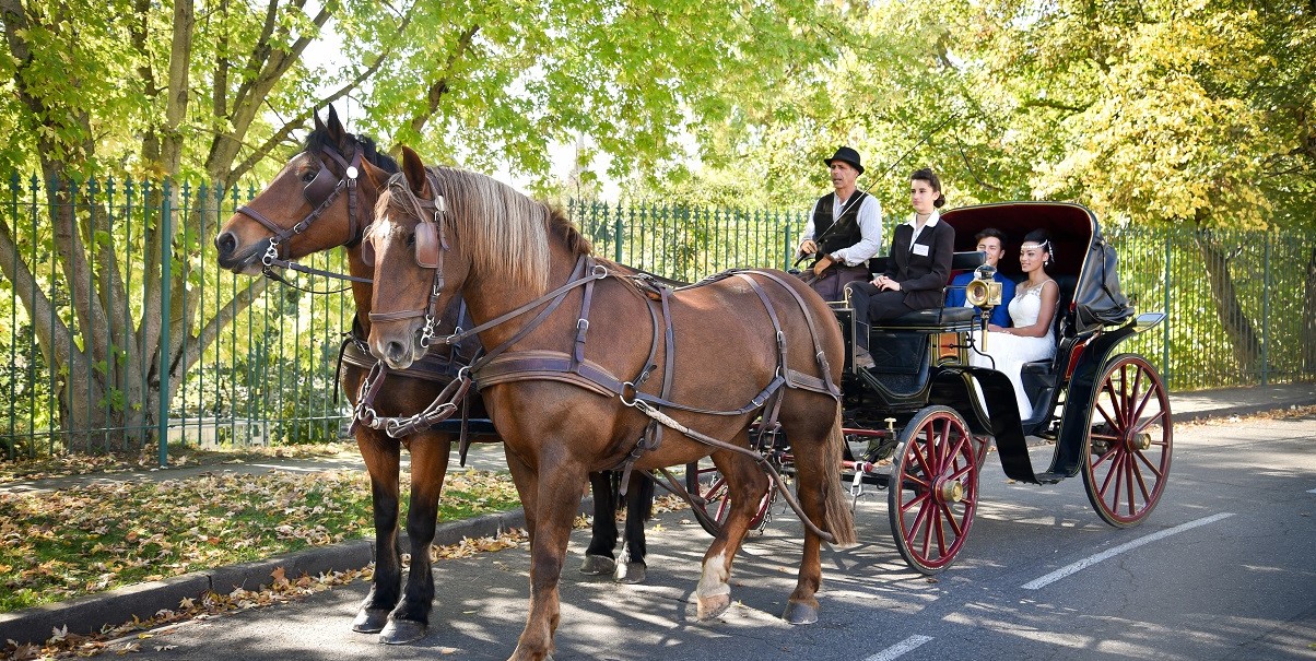 blog-mariage-toulouse-sud-ouest-transport-ecolo