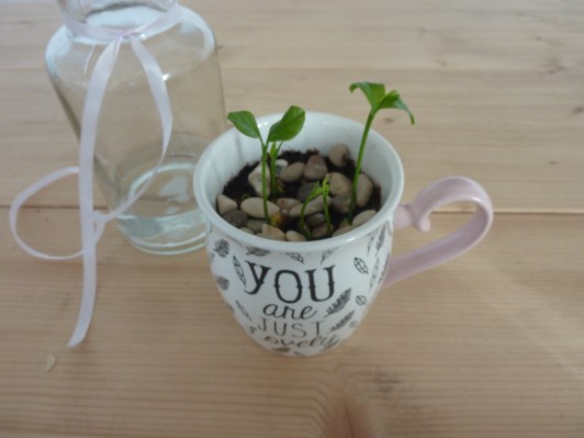 blog-mariage-creatif-made-in-france