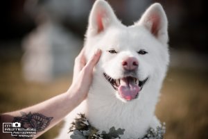 shooting-inspiration-mariage-hiver-animalier-blog-mariage