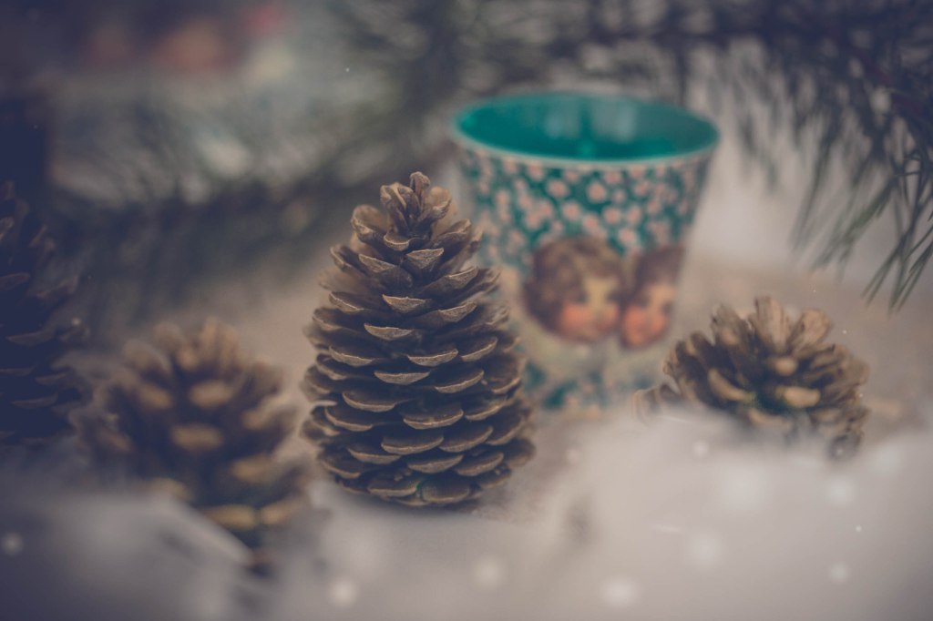 shooting-inspiration-noel-waiting-for-santa