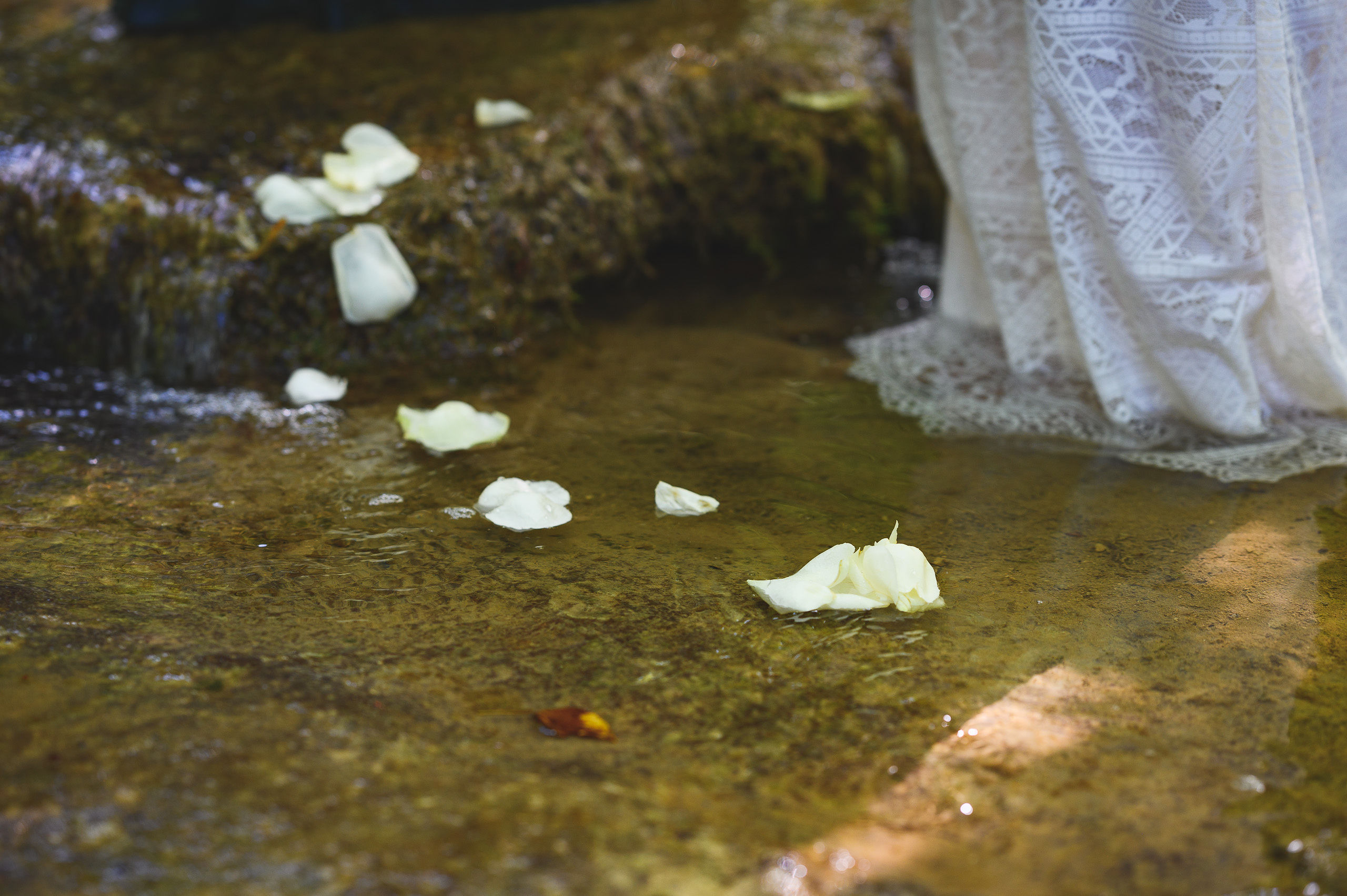 green-wedding-inspiration-elopment-nature-foret
