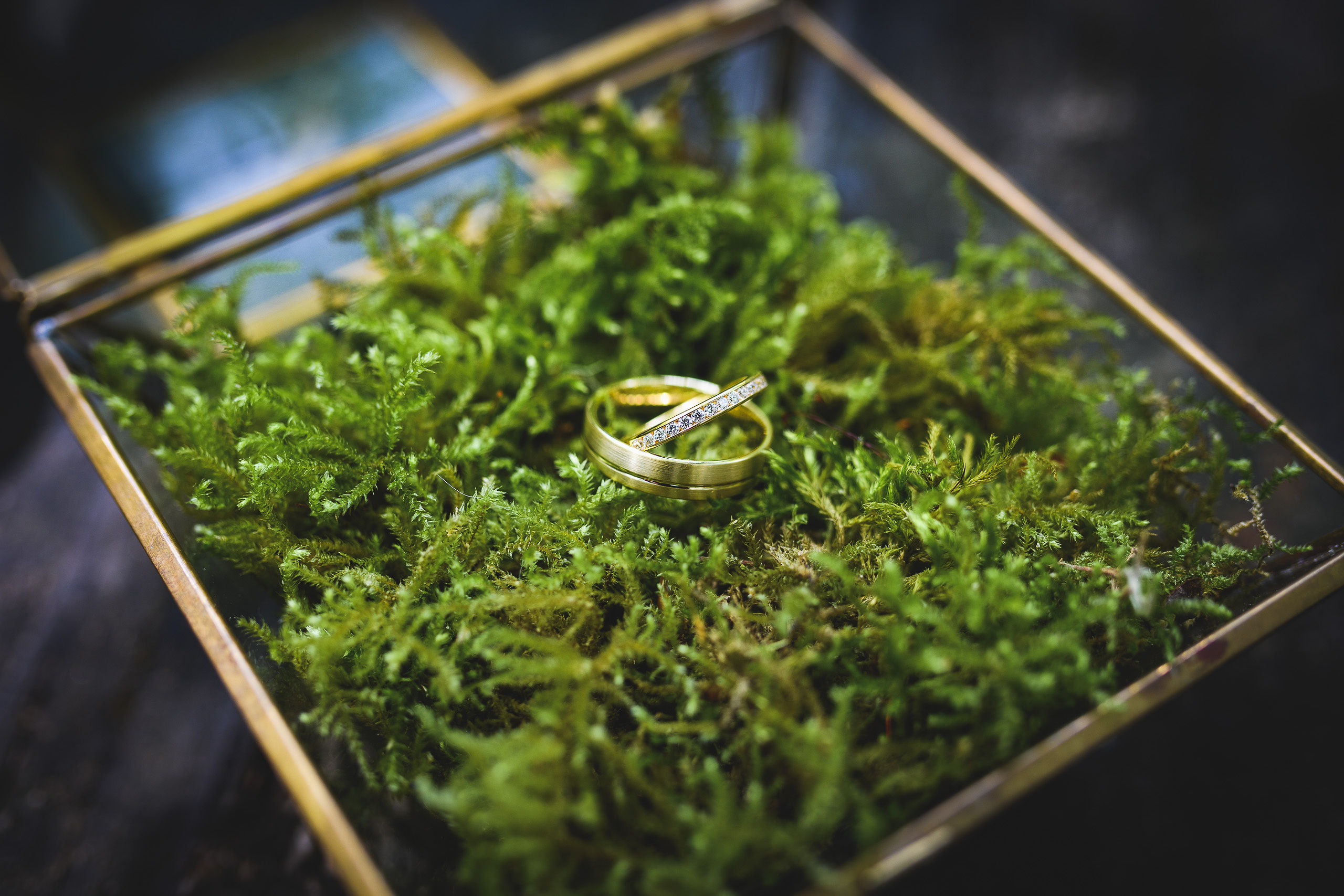 wedding-inspiration-foret-nature