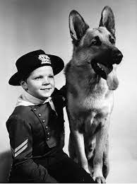 walk-of-fame-hollywood-los-angeles-news